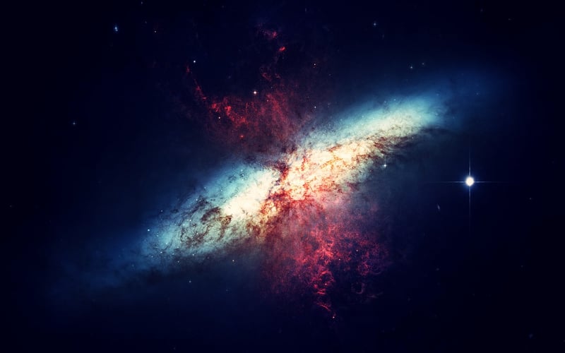 Starlit Meadow